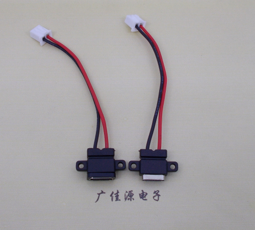 常州简易type c2p防水母座注塑成型带双螺丝孔焊线式带线带接线端子单充电功能