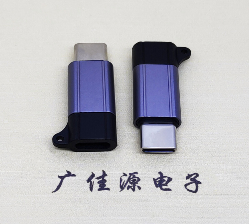 常州Type-C母转Type-C公 USB3.1 PD100W快冲接口